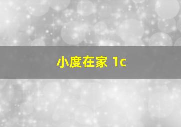 小度在家 1c